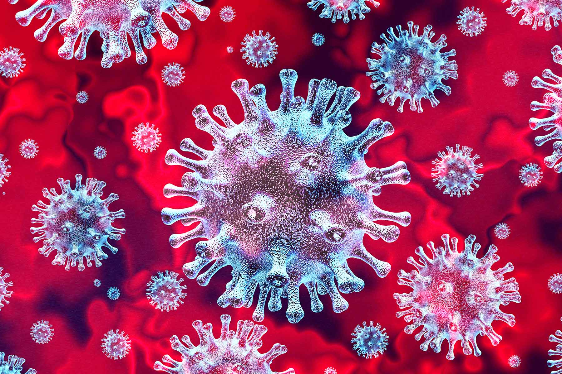 Una tragedia insondable: EE.UU. llega a medio millón de muertes por coronavirus