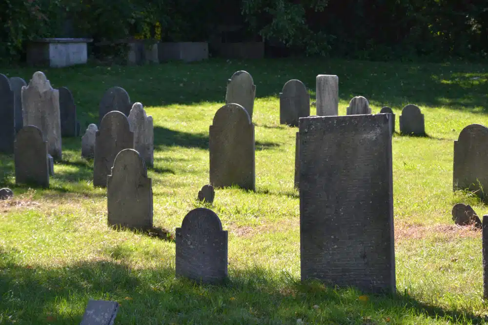 Morir en Miami: El cementerio de los elefantes